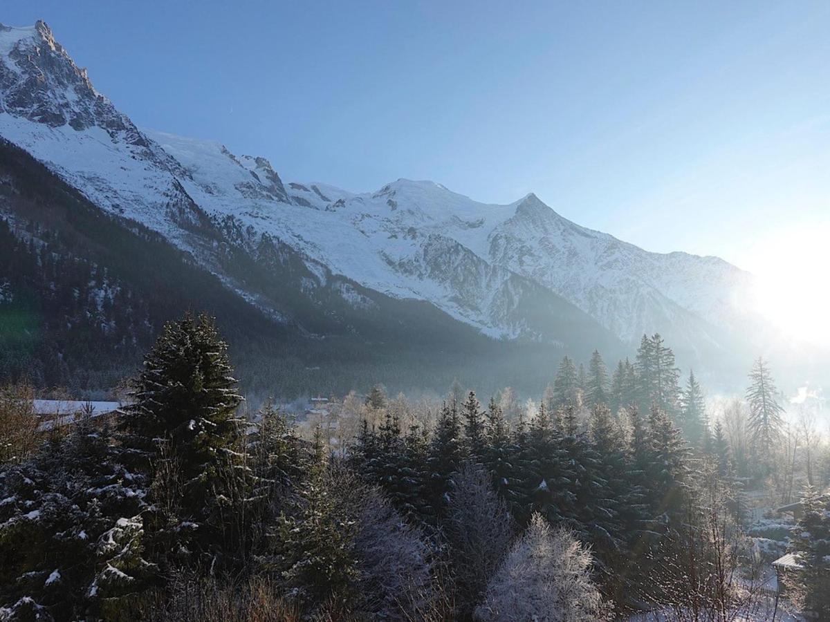 Appartement Chamonix-Mont-Blanc, 4 pièces, 6 personnes - FR-1-507-62 Extérieur photo